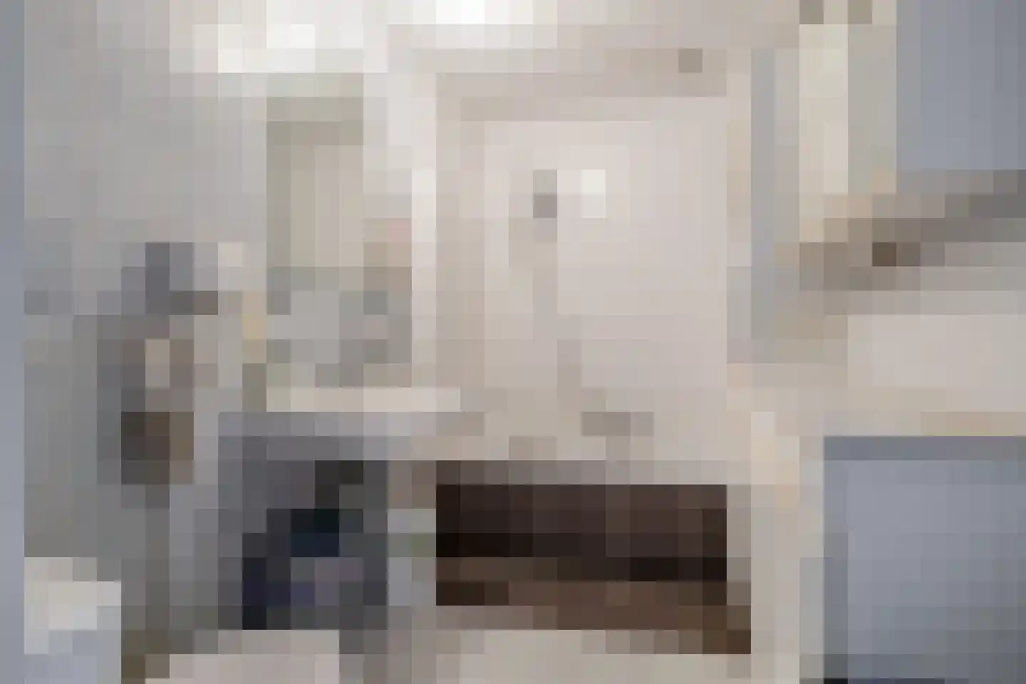 Meester J. Henderikxstraat 76 Julianadorp thumbnail 30