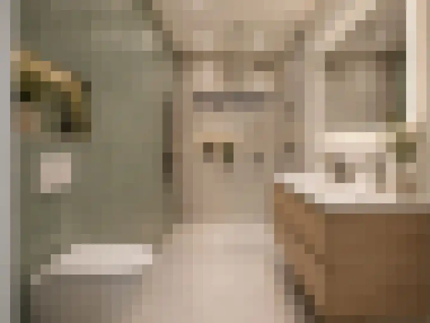 Meester J. Henderikxstraat 76 Julianadorp thumbnail 31
