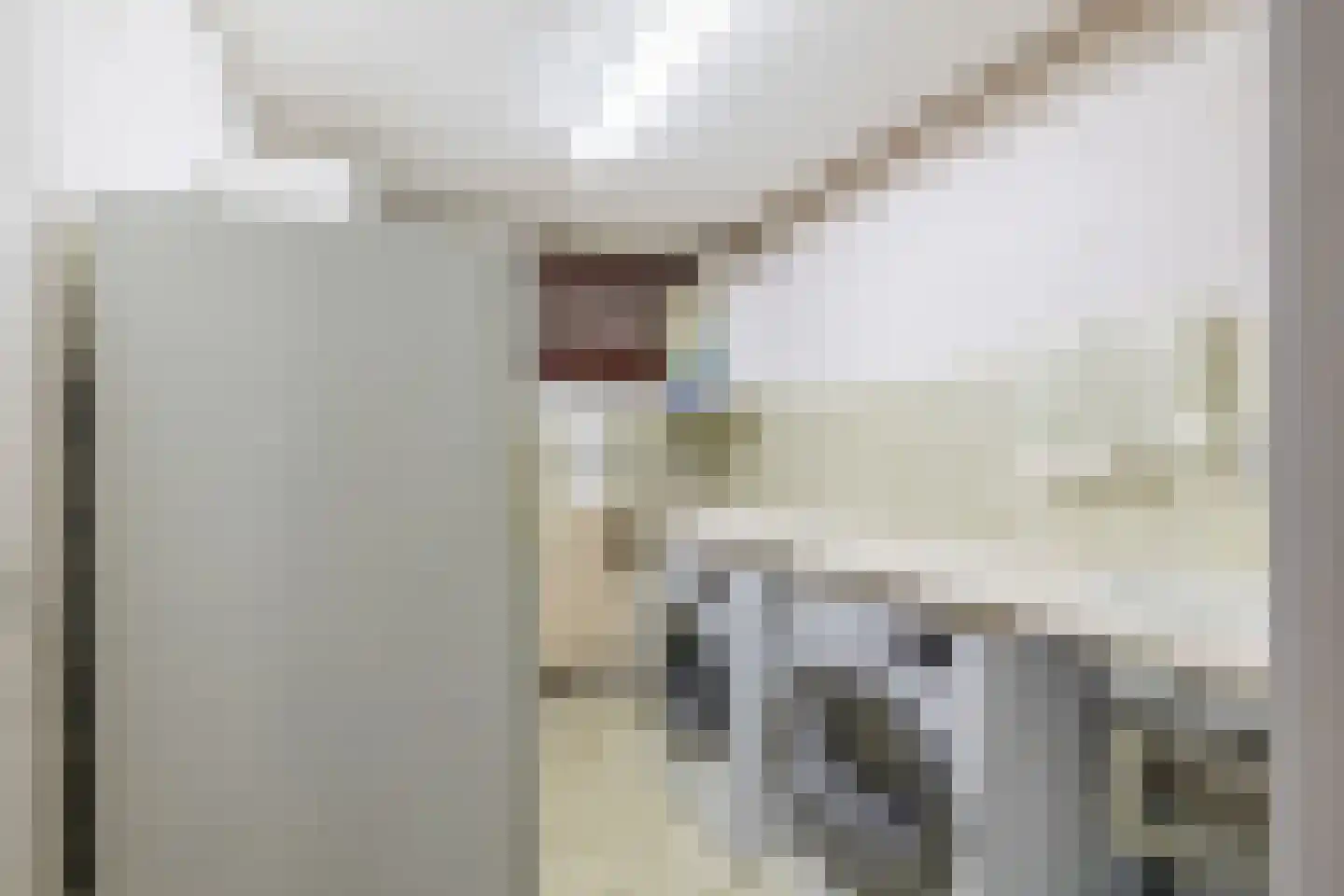 Meester J. Henderikxstraat 76 Julianadorp thumbnail 8
