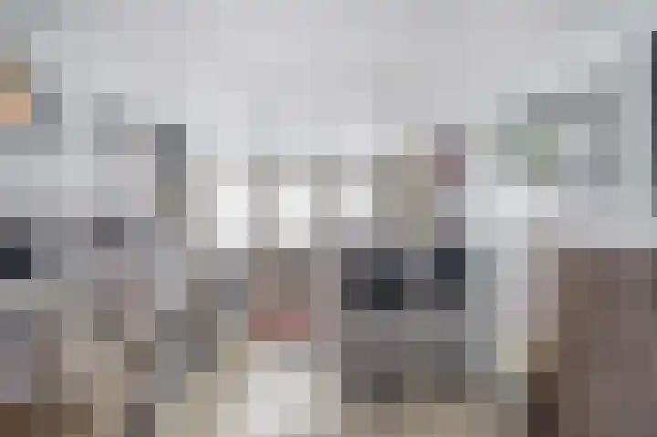 Meester J. Henderikxstraat 81 Julianadorp thumbnail 17