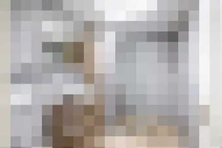 Meester J. Henderikxstraat 81 Julianadorp thumbnail 19