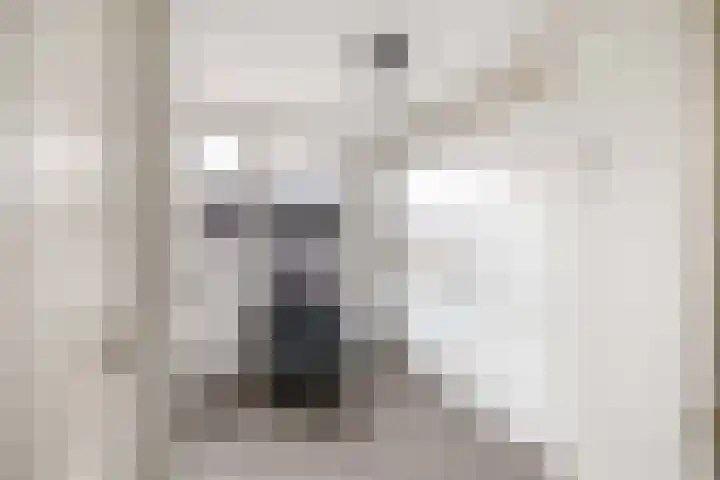 Meester J. Henderikxstraat 81 Julianadorp thumbnail 21