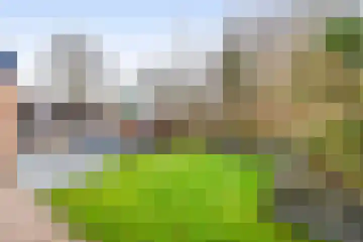 Meester J. Henderikxstraat 81 Julianadorp thumbnail 27
