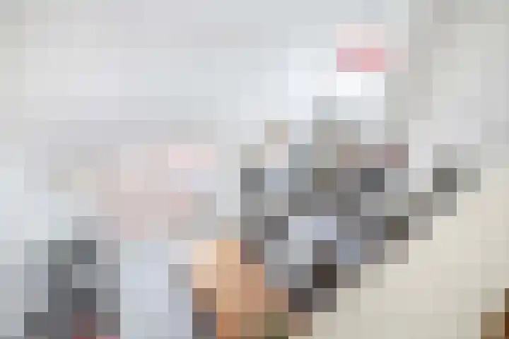 Meester J. Henderikxstraat 81 Julianadorp thumbnail 31