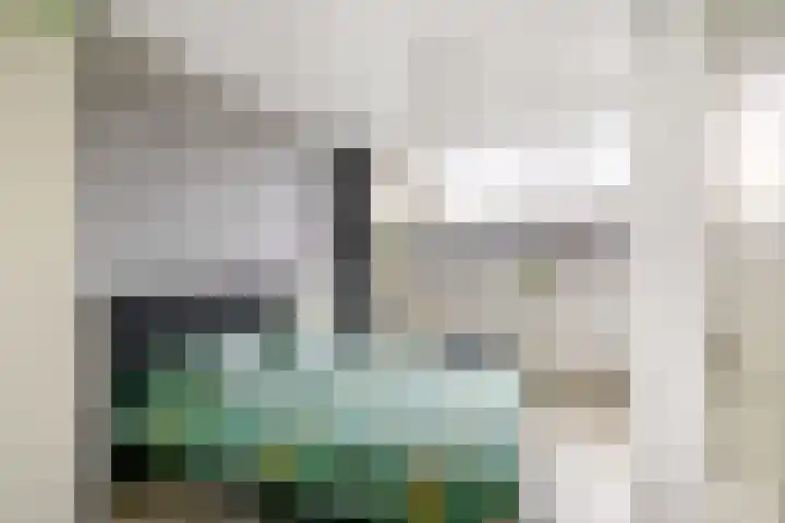 Meester J. Henderikxstraat 81 Julianadorp thumbnail 33