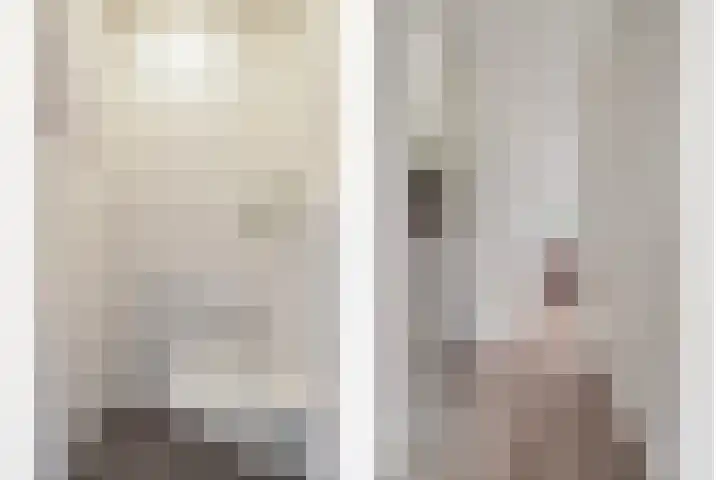 Meester J Schaapstraat 18 Opheusden thumbnail 10