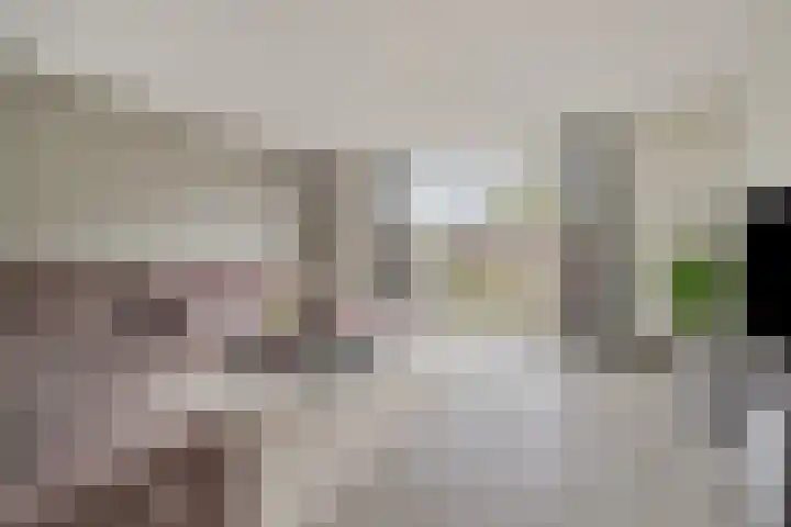 Meester J Schaapstraat 18 Opheusden thumbnail 11