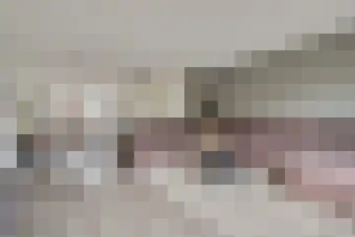 Meester J Schaapstraat 18 Opheusden thumbnail 13
