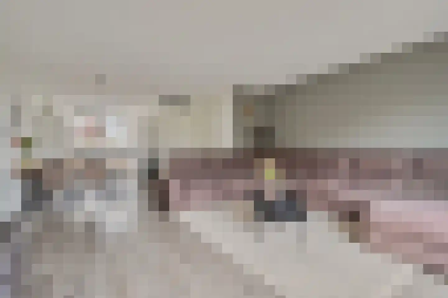 Meester J Schaapstraat 18 Opheusden thumbnail 13