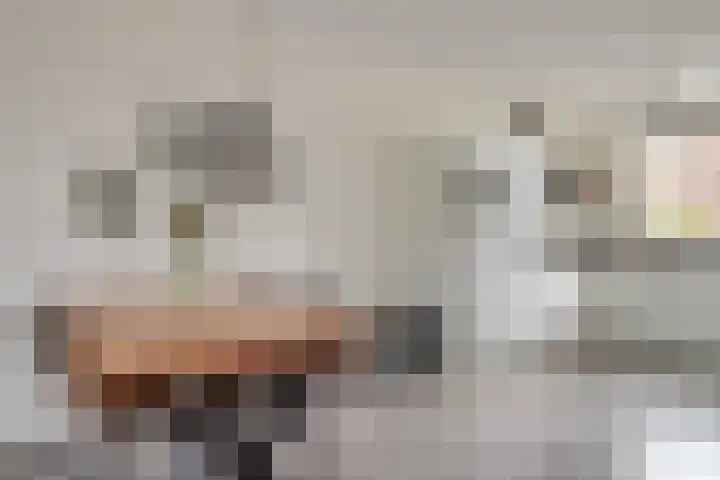 Meester J Schaapstraat 18 Opheusden thumbnail 15