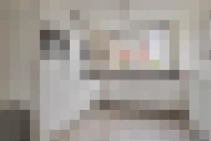 Meester J Schaapstraat 18 Opheusden thumbnail 16