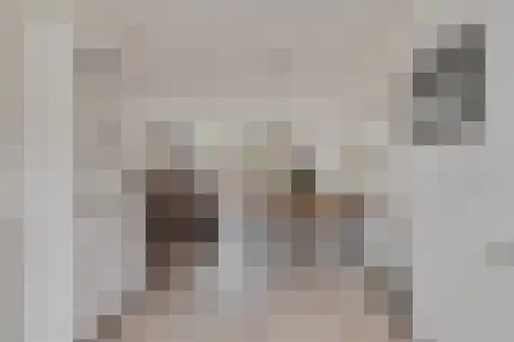 Meester J Schaapstraat 18 Opheusden thumbnail 17