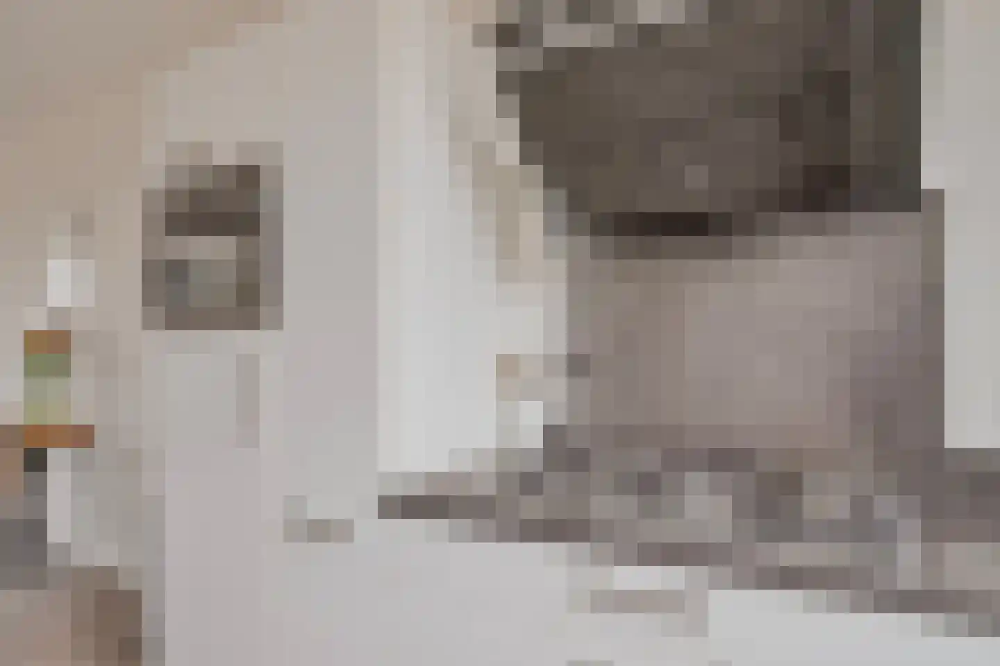 Meester J Schaapstraat 18 Opheusden thumbnail 18