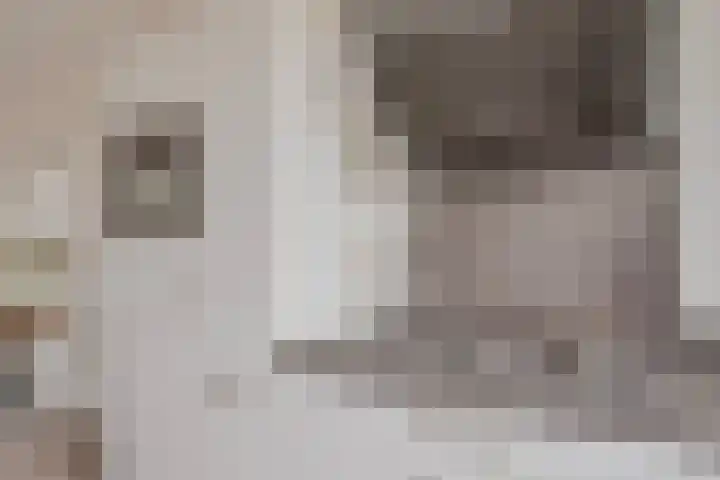 Meester J Schaapstraat 18 Opheusden thumbnail 18