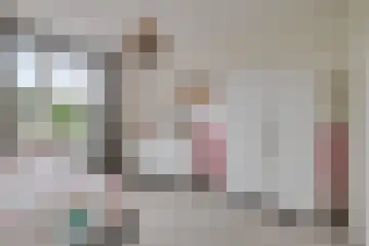 Meester J Schaapstraat 18 Opheusden thumbnail 24