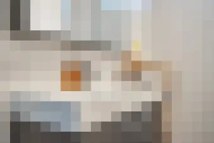 Meester J Schaapstraat 18 Opheusden thumbnail 28