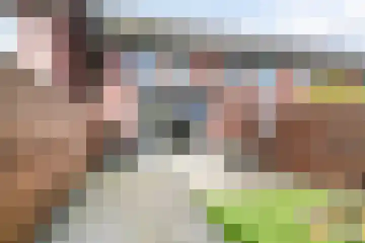 Meester J Schaapstraat 18 Opheusden thumbnail 34