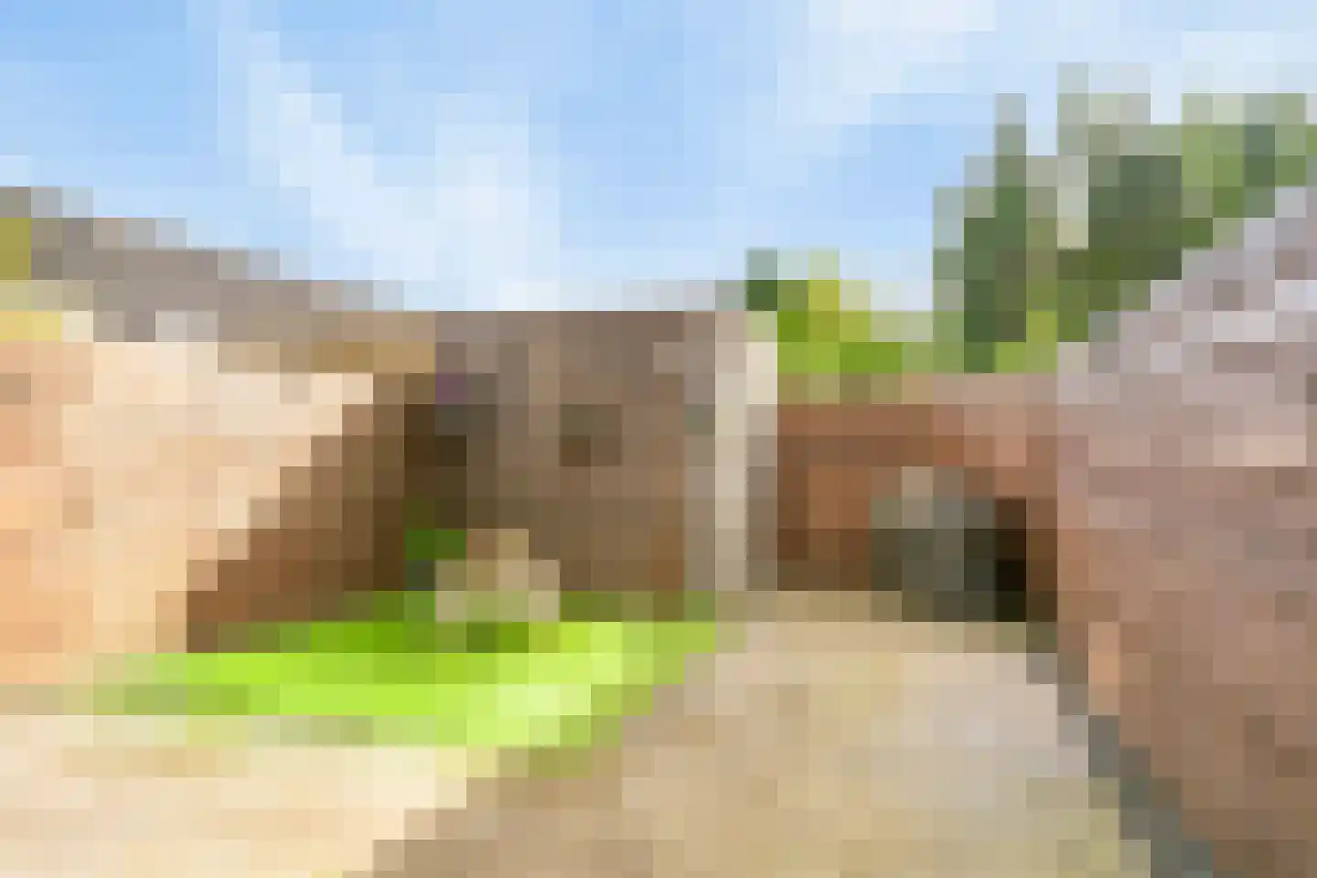 Meester J Schaapstraat 18 Opheusden thumbnail 35
