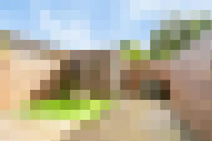 Meester J Schaapstraat 18 Opheusden thumbnail 35