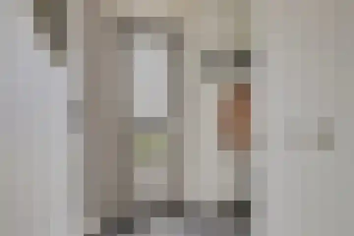 Meester J Schaapstraat 18 Opheusden thumbnail 9