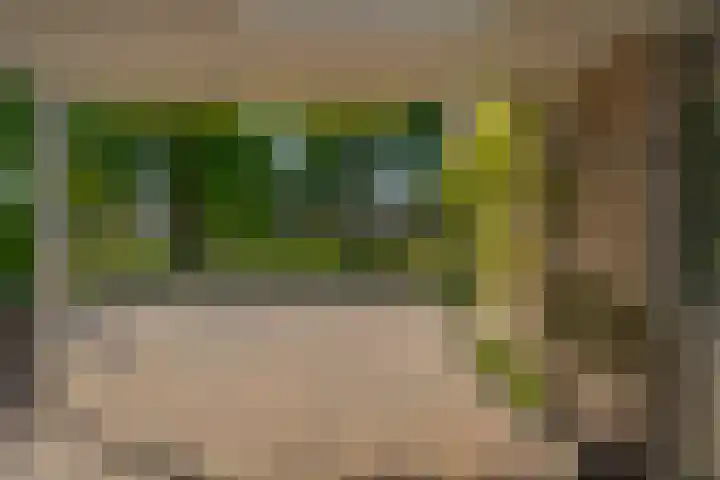 Meester J. Tuintjerstraat 17 Tolbert thumbnail 10
