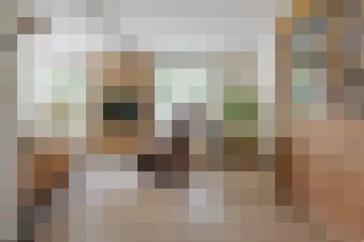 Meester J. Tuintjerstraat 17 Tolbert thumbnail 14