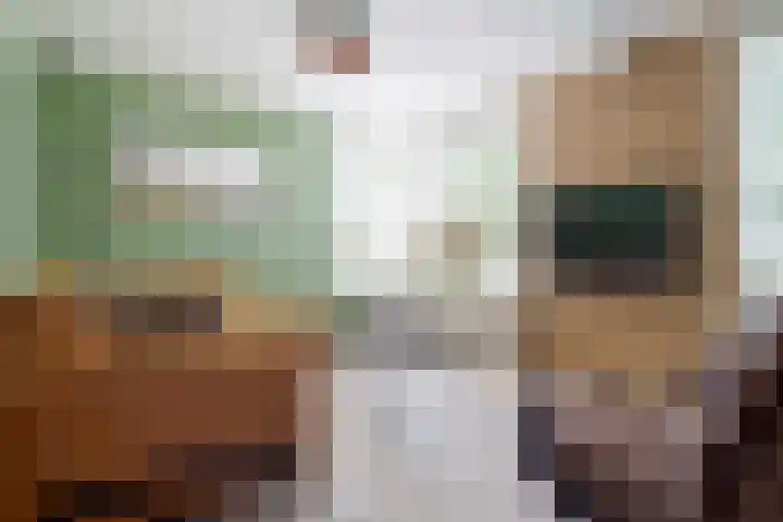 Meester J. Tuintjerstraat 17 Tolbert thumbnail 16