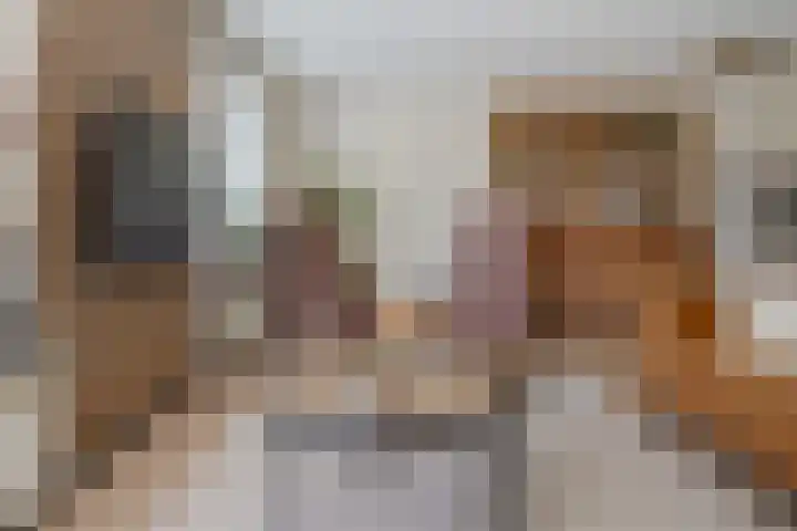 Meester J. Tuintjerstraat 17 Tolbert thumbnail 17