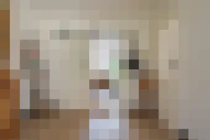 Meester J. Tuintjerstraat 17 Tolbert thumbnail 18