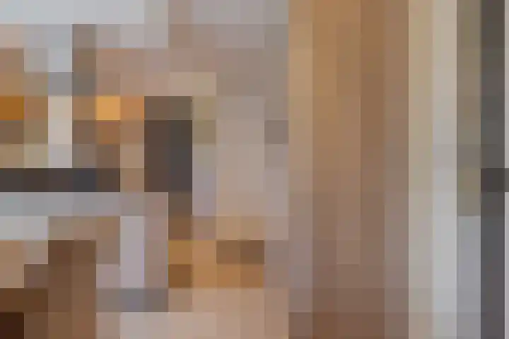 Meester J. Tuintjerstraat 17 Tolbert thumbnail 22