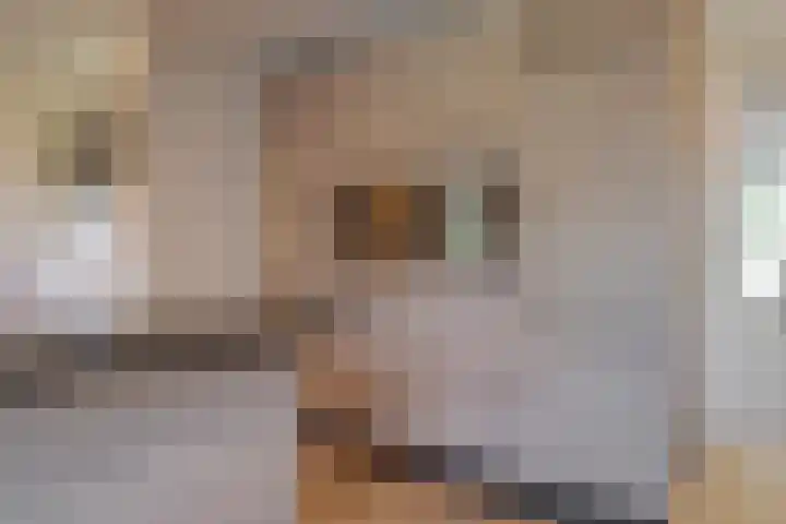 Meester J. Tuintjerstraat 17 Tolbert thumbnail 23