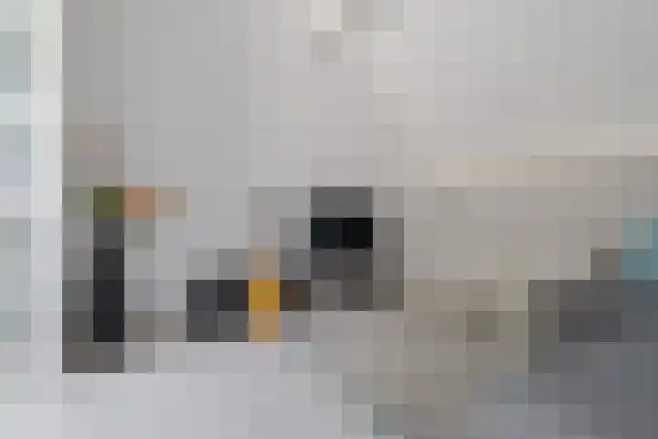 Meester J. Tuintjerstraat 17 Tolbert thumbnail 27