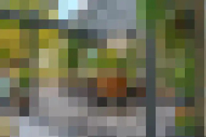 Meester J. Tuintjerstraat 17 Tolbert thumbnail 30