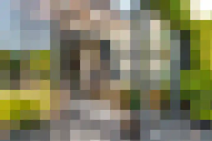 Meester J. Tuintjerstraat 17 Tolbert thumbnail 31