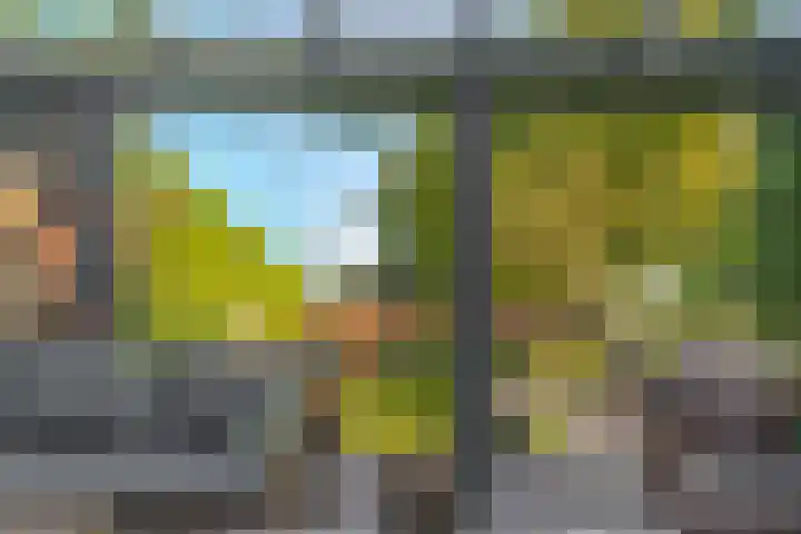 Meester J. Tuintjerstraat 17 Tolbert thumbnail 33