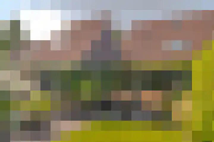 Meester J. Tuintjerstraat 17 Tolbert thumbnail 34