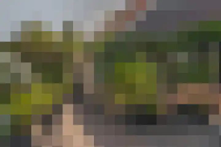 Meester J. Tuintjerstraat 17 Tolbert thumbnail 36