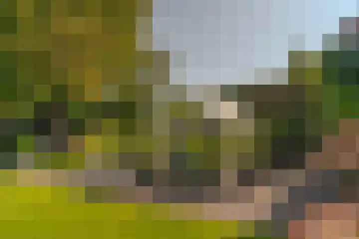 Meester J. Tuintjerstraat 17 Tolbert thumbnail 37