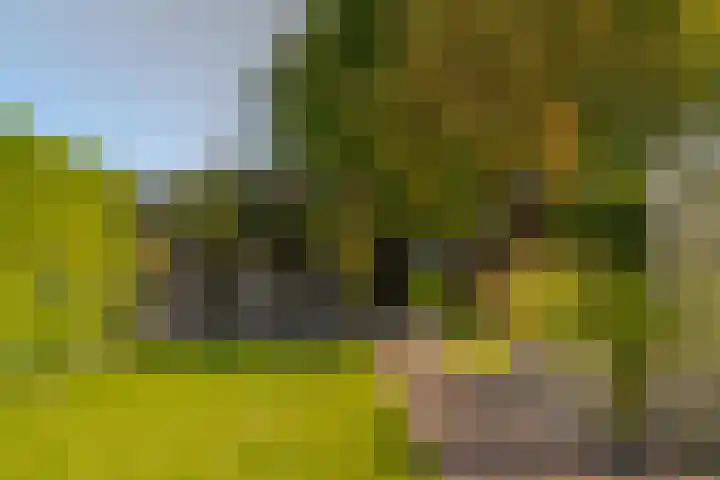 Meester J. Tuintjerstraat 17 Tolbert thumbnail 38