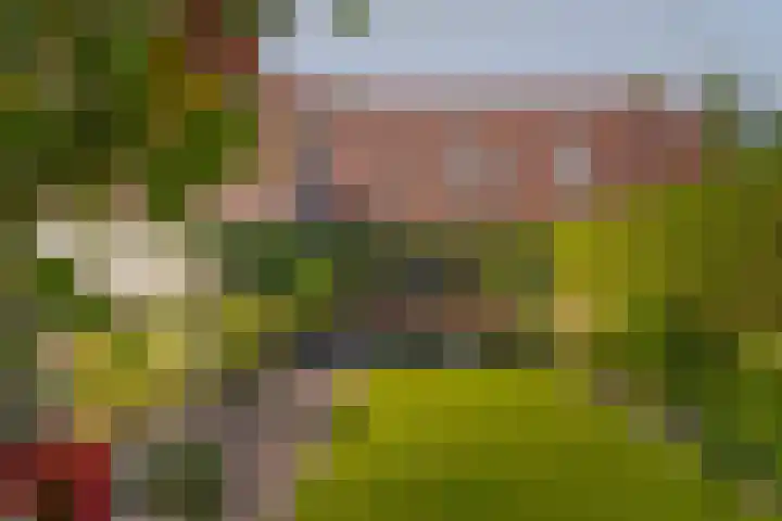 Meester J. Tuintjerstraat 17 Tolbert thumbnail 4