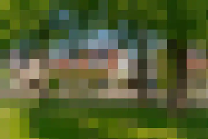 Meester J. Tuintjerstraat 17 Tolbert thumbnail 5