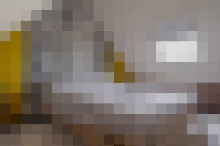 Meester J. Tuintjerstraat 17 Tolbert thumbnail 59