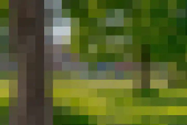 Meester J. Tuintjerstraat 17 Tolbert thumbnail 7