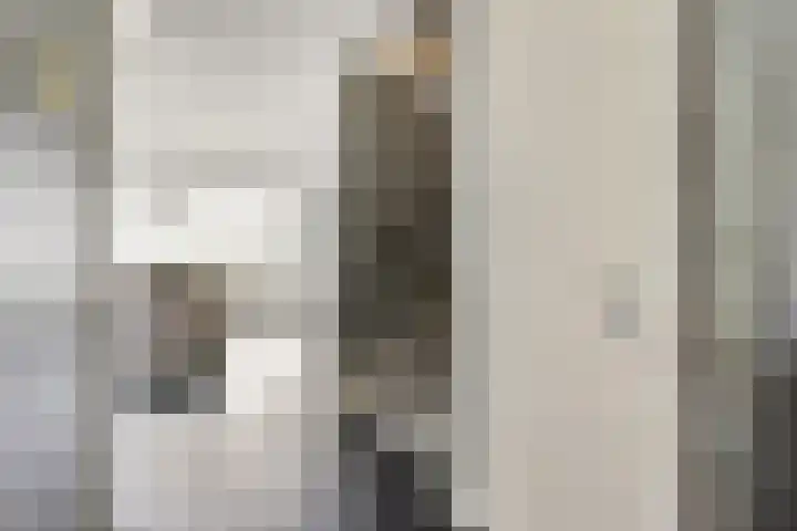 Meester J van Dolderenstraat 14 Kesteren thumbnail 11