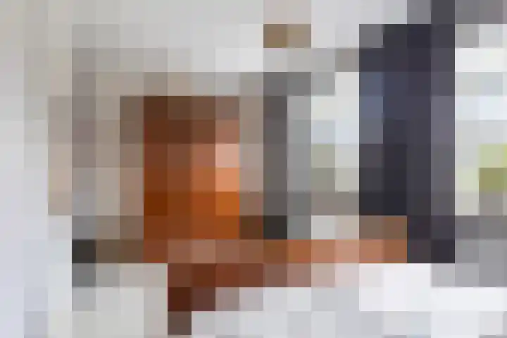 Meester J van Dolderenstraat 14 Kesteren thumbnail 16