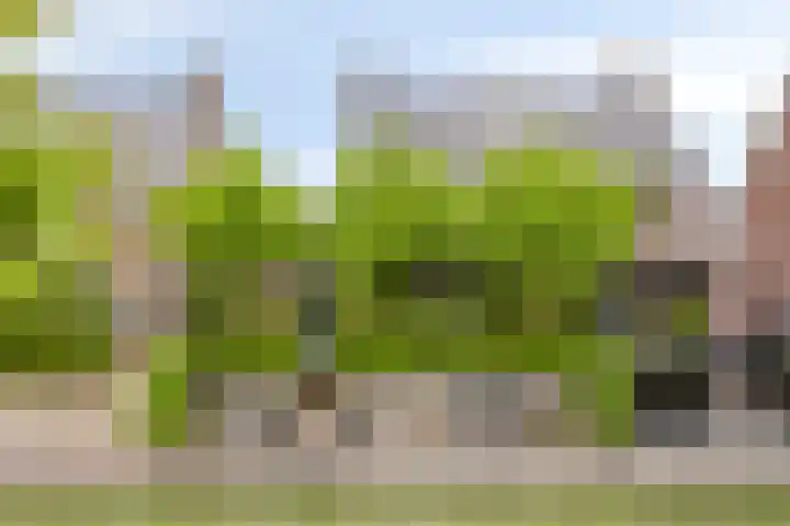 Meester J van Dolderenstraat 14 Kesteren thumbnail 28
