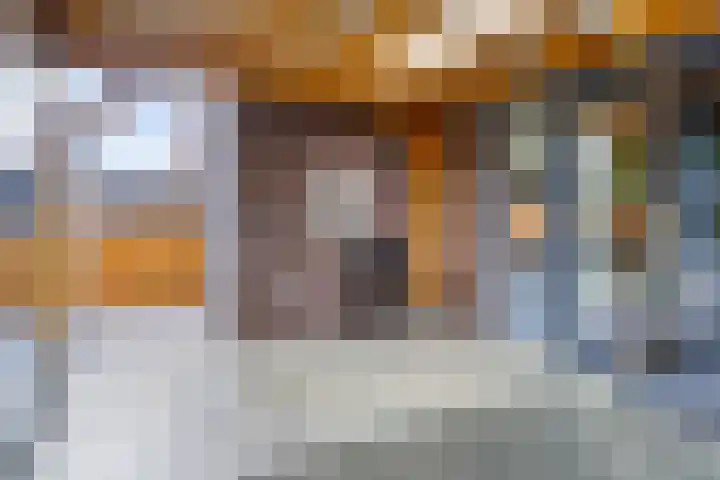 Meester J van Dolderenstraat 14 Kesteren thumbnail 31