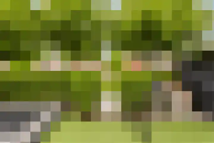 Meester J van Dolderenstraat 14 Kesteren thumbnail 35