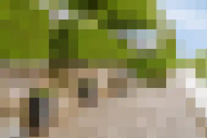Meester J van Dolderenstraat 14 Kesteren thumbnail 36