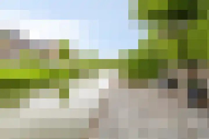 Meester J van Dolderenstraat 14 Kesteren thumbnail 37